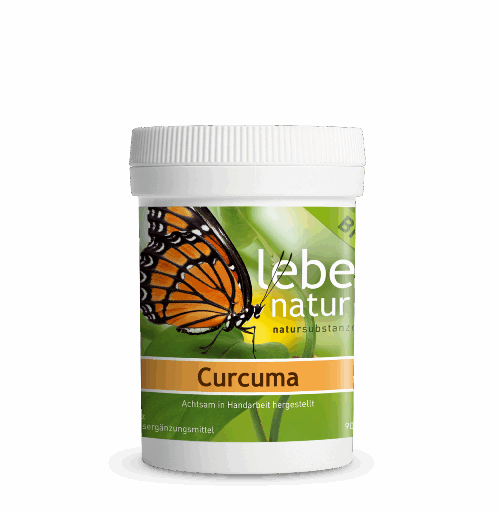 lebe natur® Curcuma BIO 90er